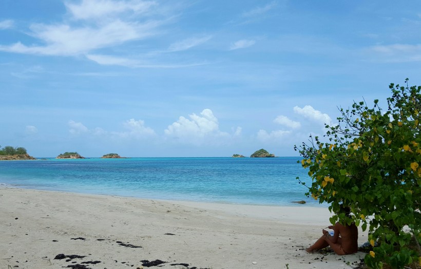 2016-05-08 14.14.42-1-1